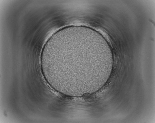 X0000096671191200803041214