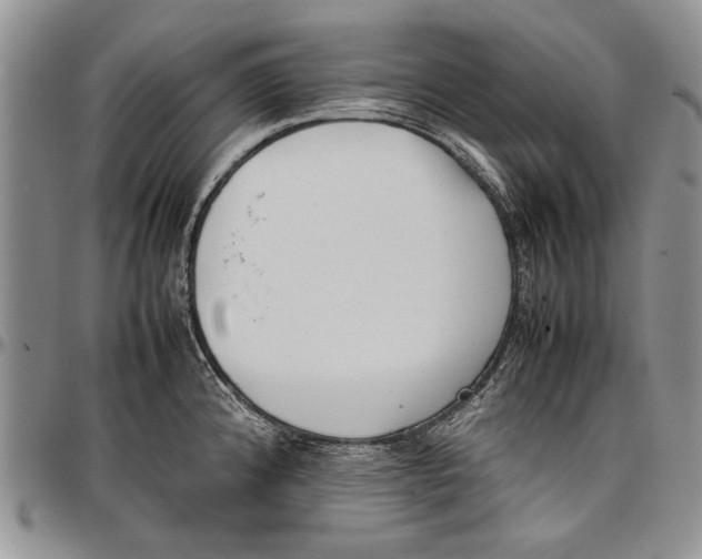 X0000096671192200803041214
