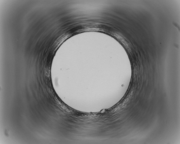 X0000096671193200803041214