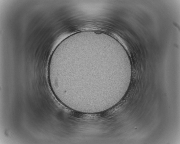 X0000096671195200803041214