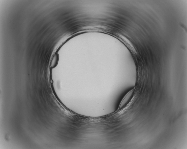 X0000096671196200803041214