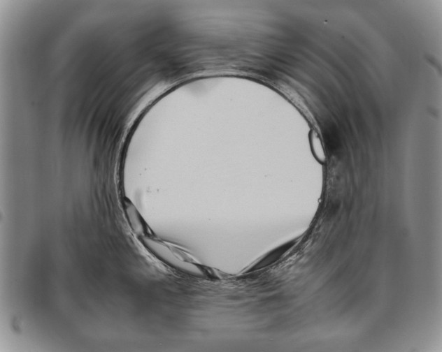X0000096671197200803041214