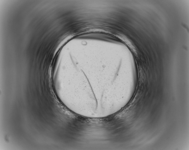 X0000096671198200803041214