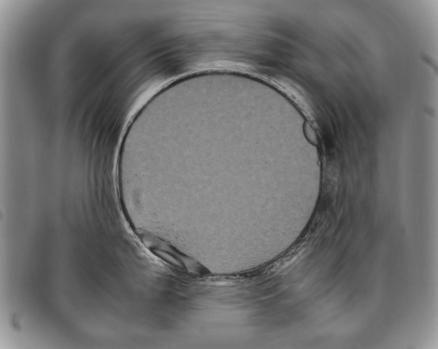 X0000096671199200803041214