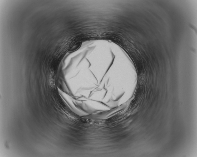 X0000096671202200803041214