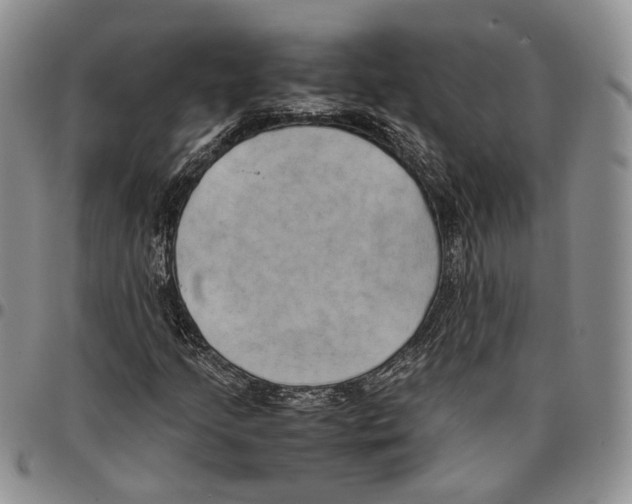 X0000096671205200803041214