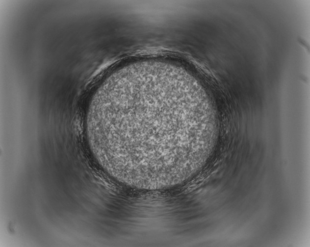 X0000096671206200803041214