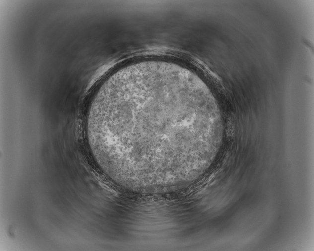 X0000096671208200803041214