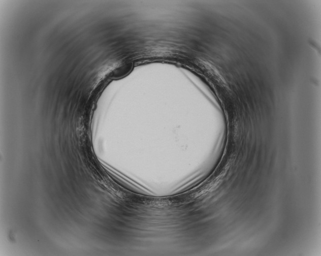 X0000096671210200803041214