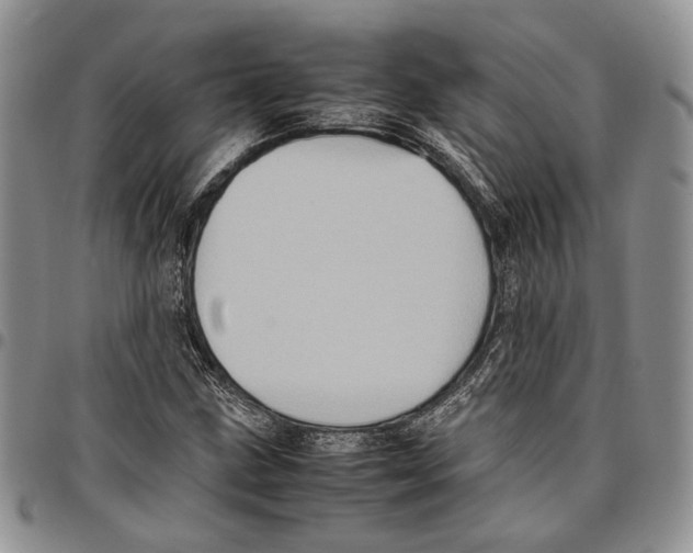 X0000096671211200803041214