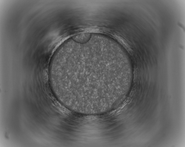 X0000096671212200803041214
