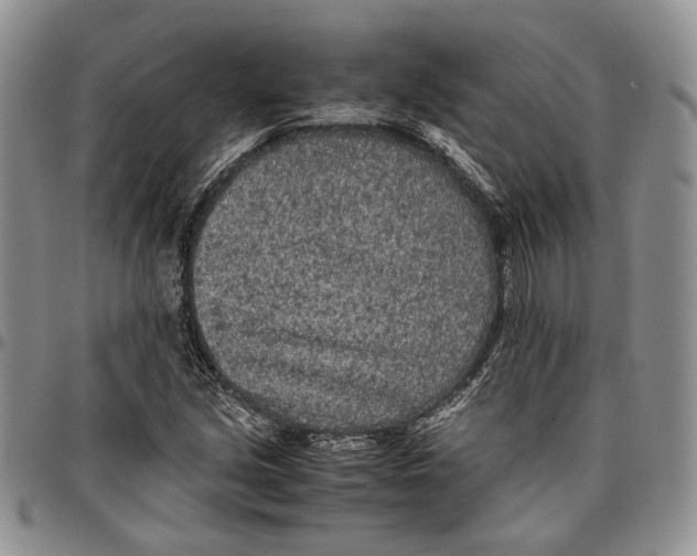 X0000096671213200803041214