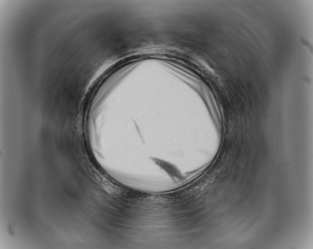 X0000096671216200803041214