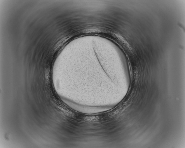 X0000096671217200803041214