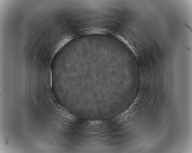 X0000096671219200803041214