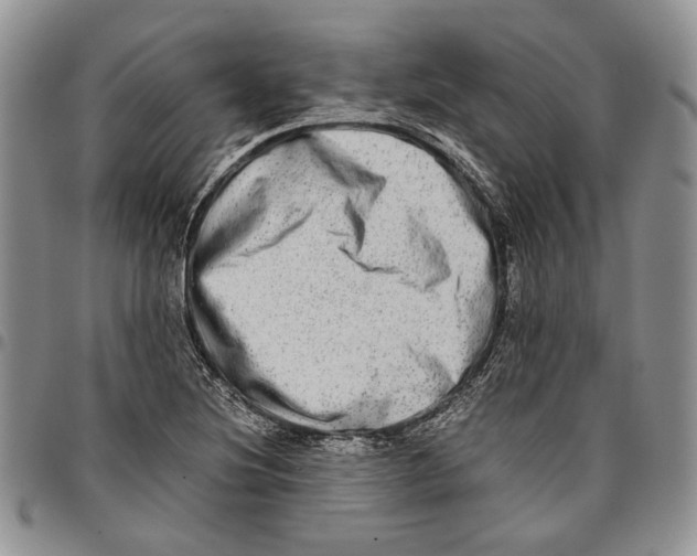 X0000096671220200803041214