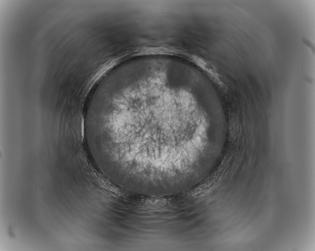 X0000096671221200803041214