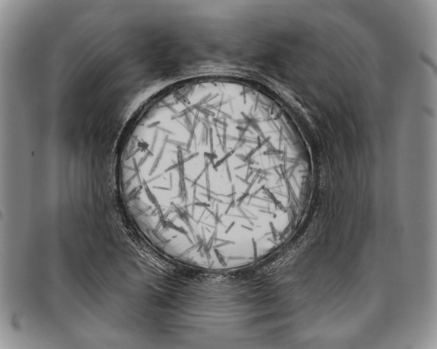 X0000096671222200803041214