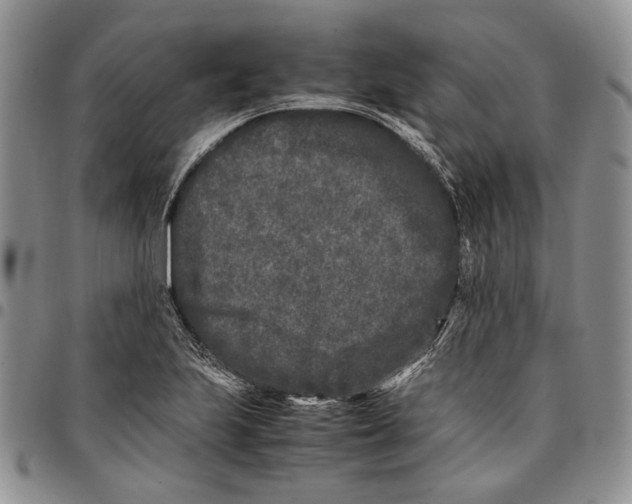 X0000096671223200803041214