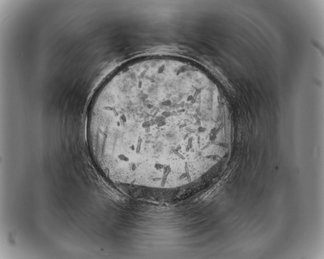 X0000096671224200803041214
