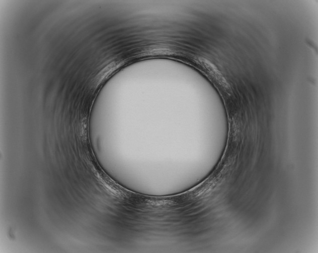 X0000096671225200803041214