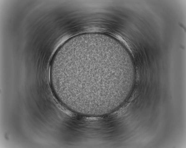X0000096671227200803041214