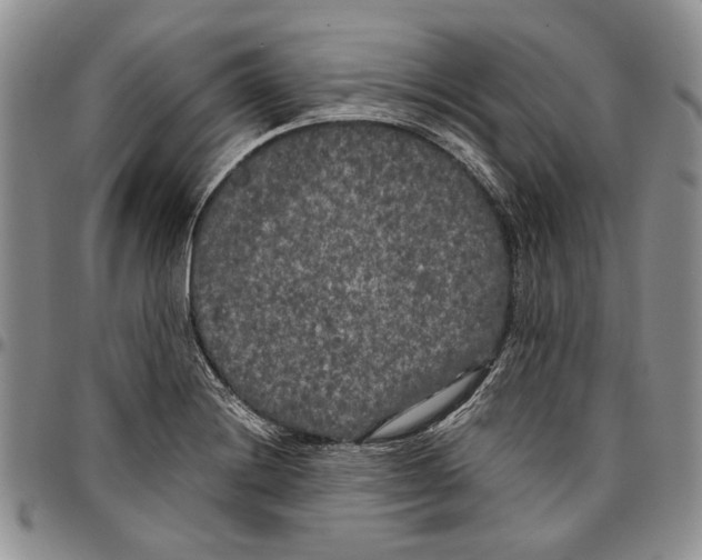 X0000096671228200803041214