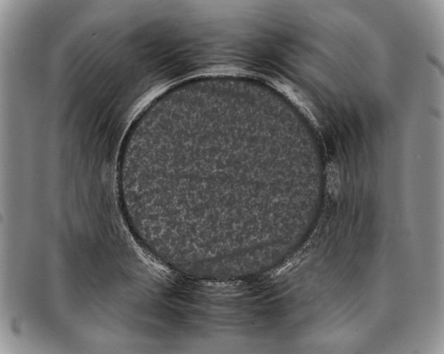 X0000096671229200803041214