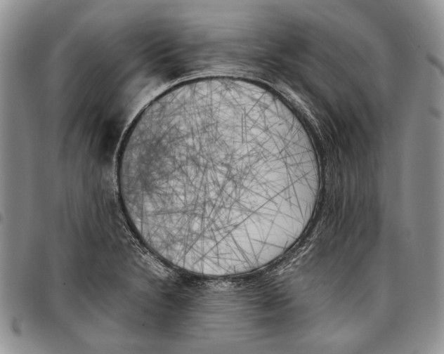 X0000096671230200803041214
