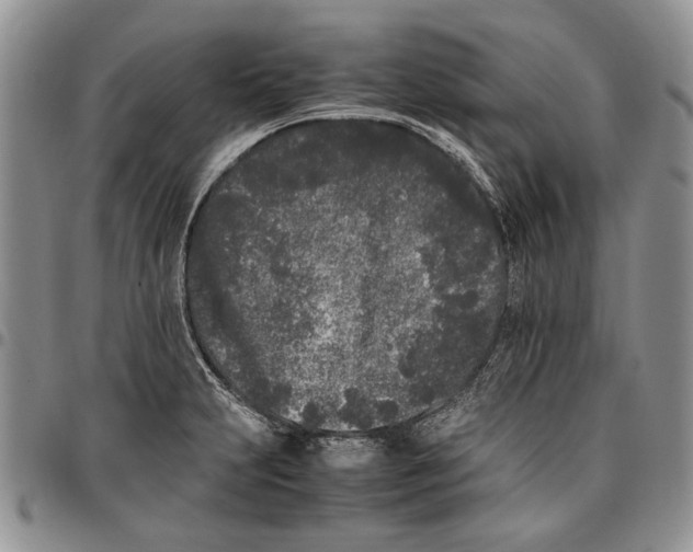 X0000096671231200803041214