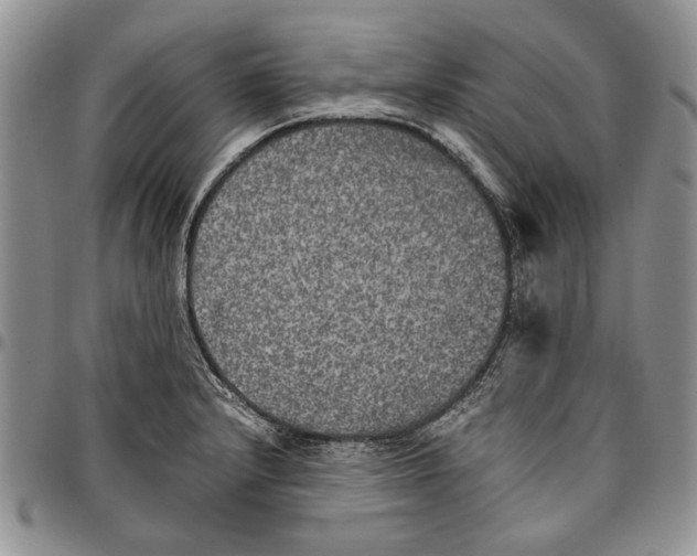 X0000096671232200803041214
