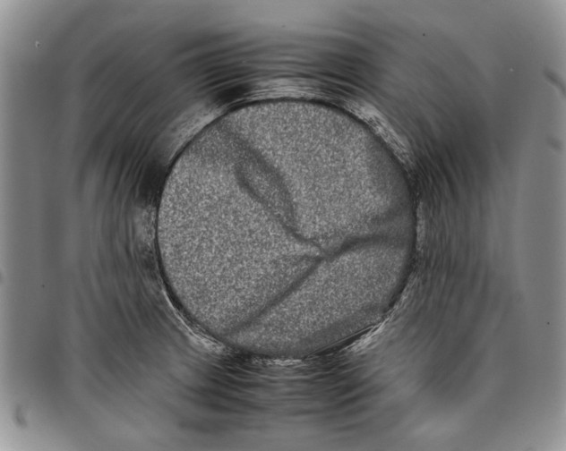 X0000096671233200803041214