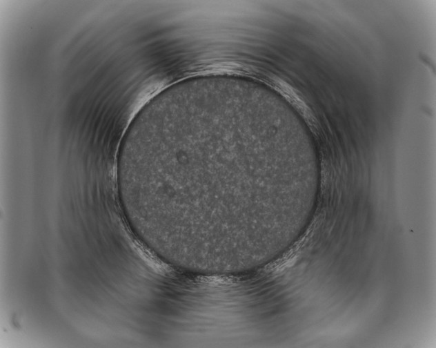 X0000096671234200803041214