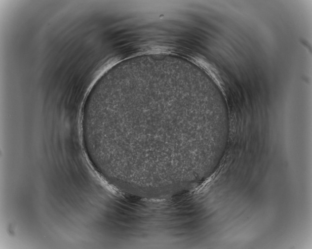 X0000096671235200803041214