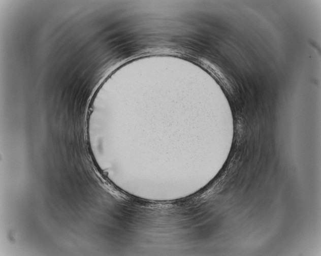X0000096671236200803041214