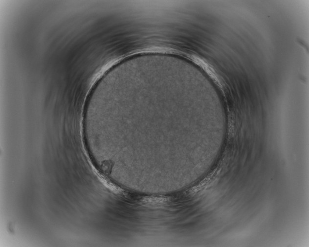 X0000096671237200803041214