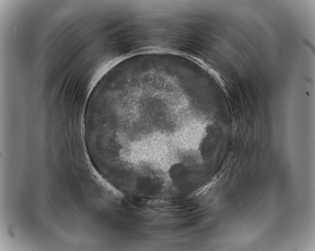 X0000096671239200803041214