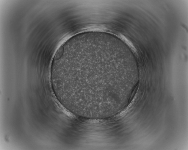 X0000096671240200803041214