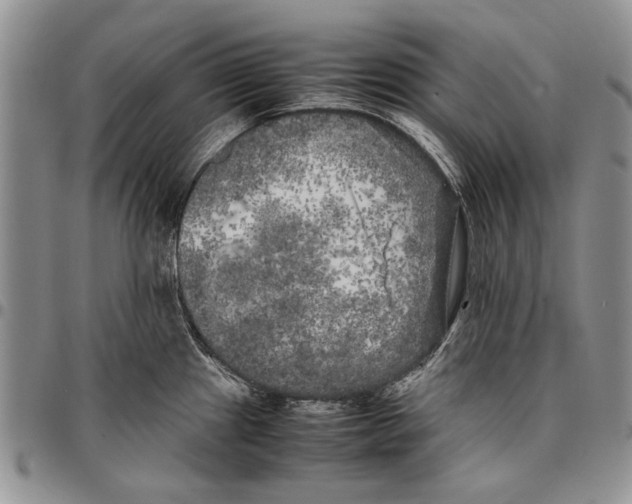 X0000096671241200803041214