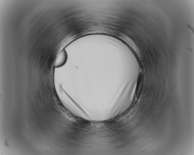 X0000096671242200803041214