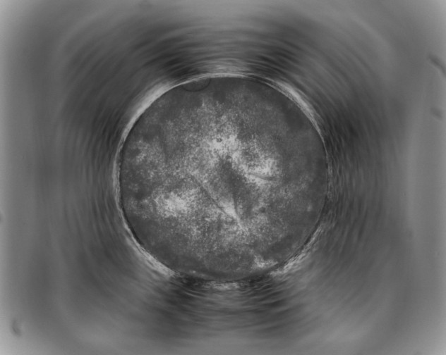 X0000096671243200803041214