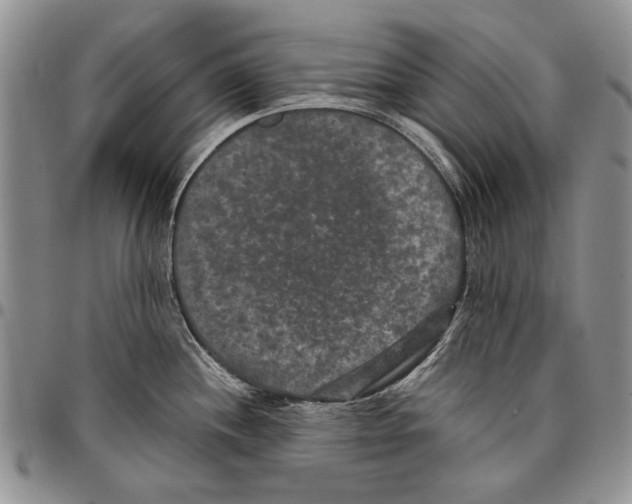 X0000096671244200803041214