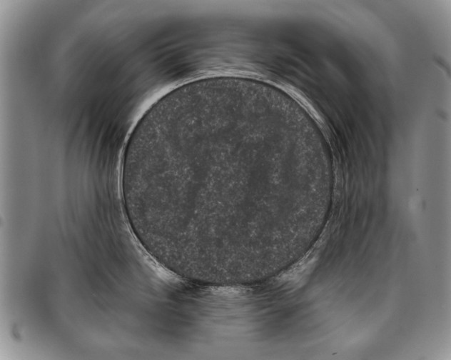 X0000096671246200803041214