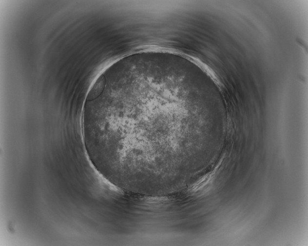 X0000096671247200803041214