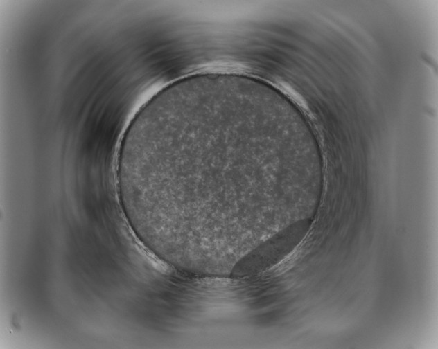X0000096671248200803041214