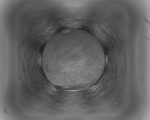 X0000096671251200803041214