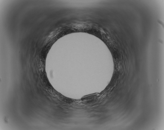 X0000096671253200803041214