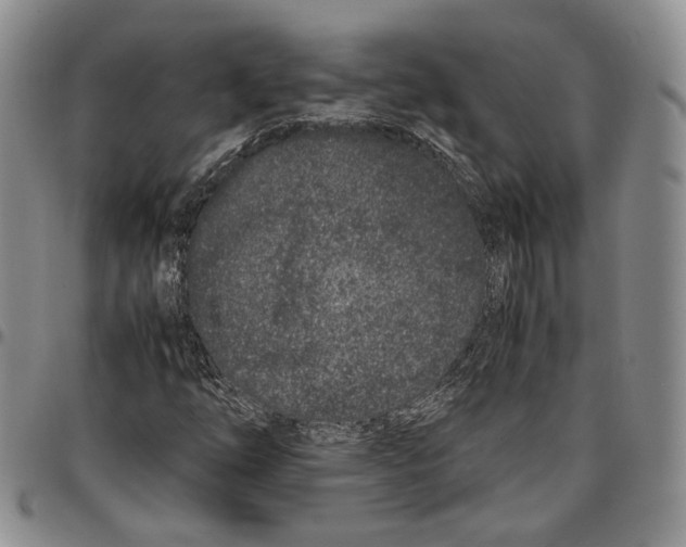 X0000096671254200803041214