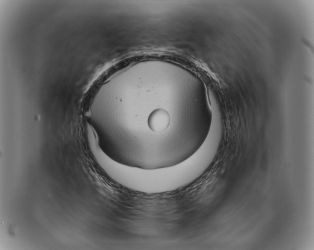 X0000096671256200803041214