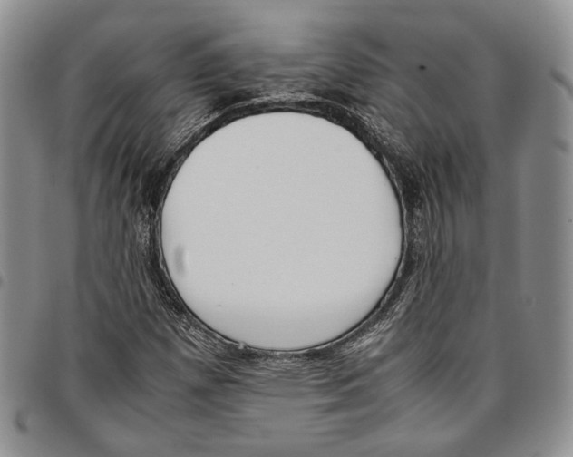 X0000096671257200803041214